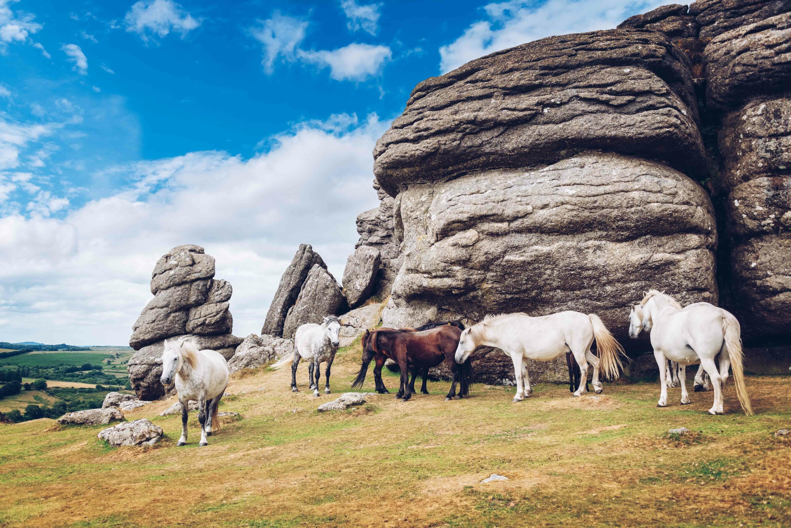 The Best Things to Do in Dartmoor