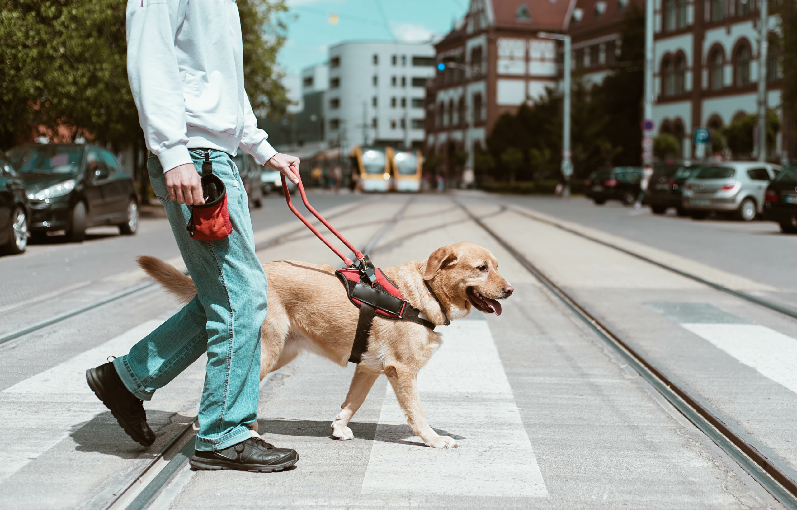 Viaggi accessibili: una guida per persone disabili