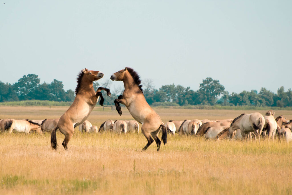 Europe’s Best Under-the-Radar National Parks