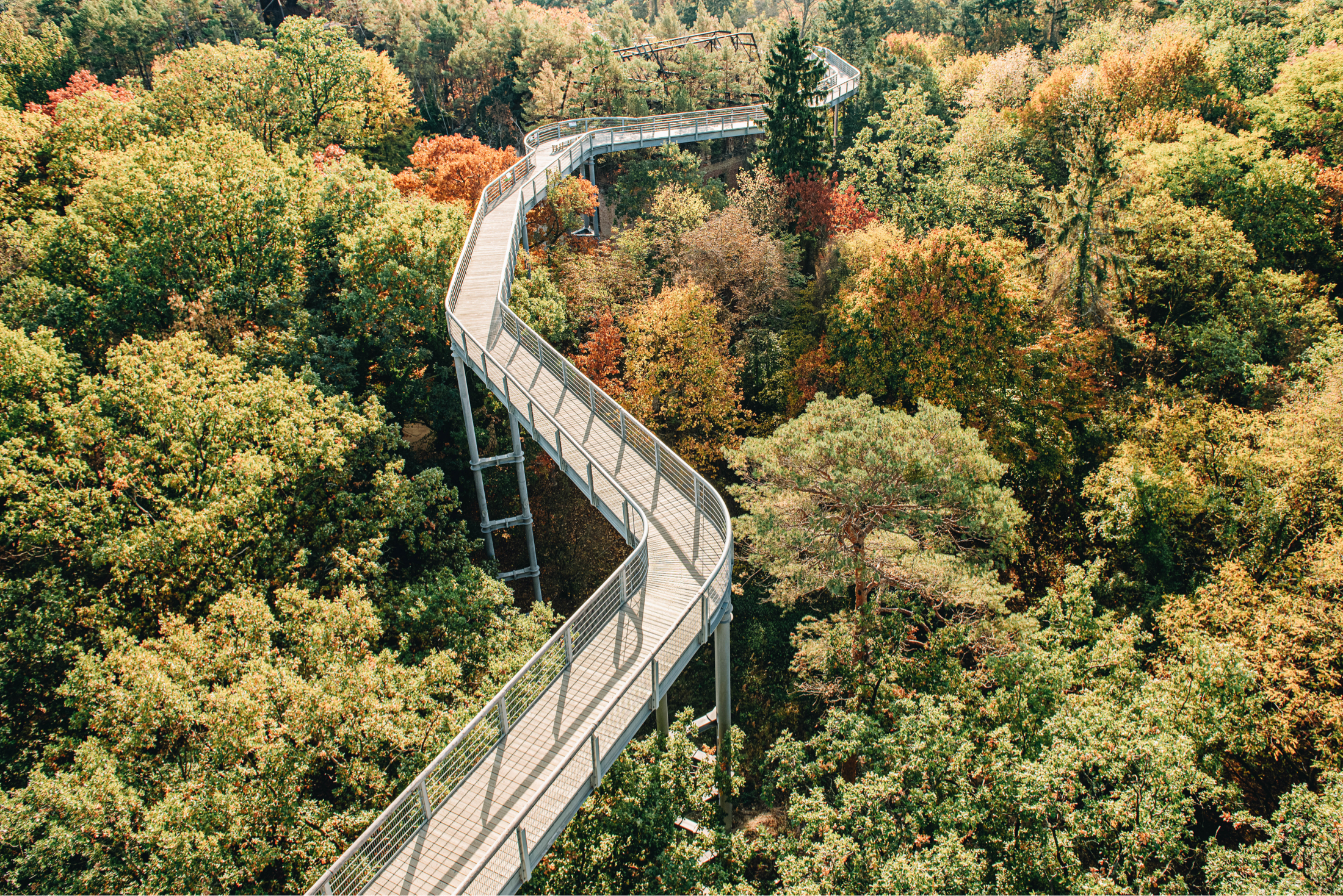 Daytrippers: Ausflugsziele Berlin