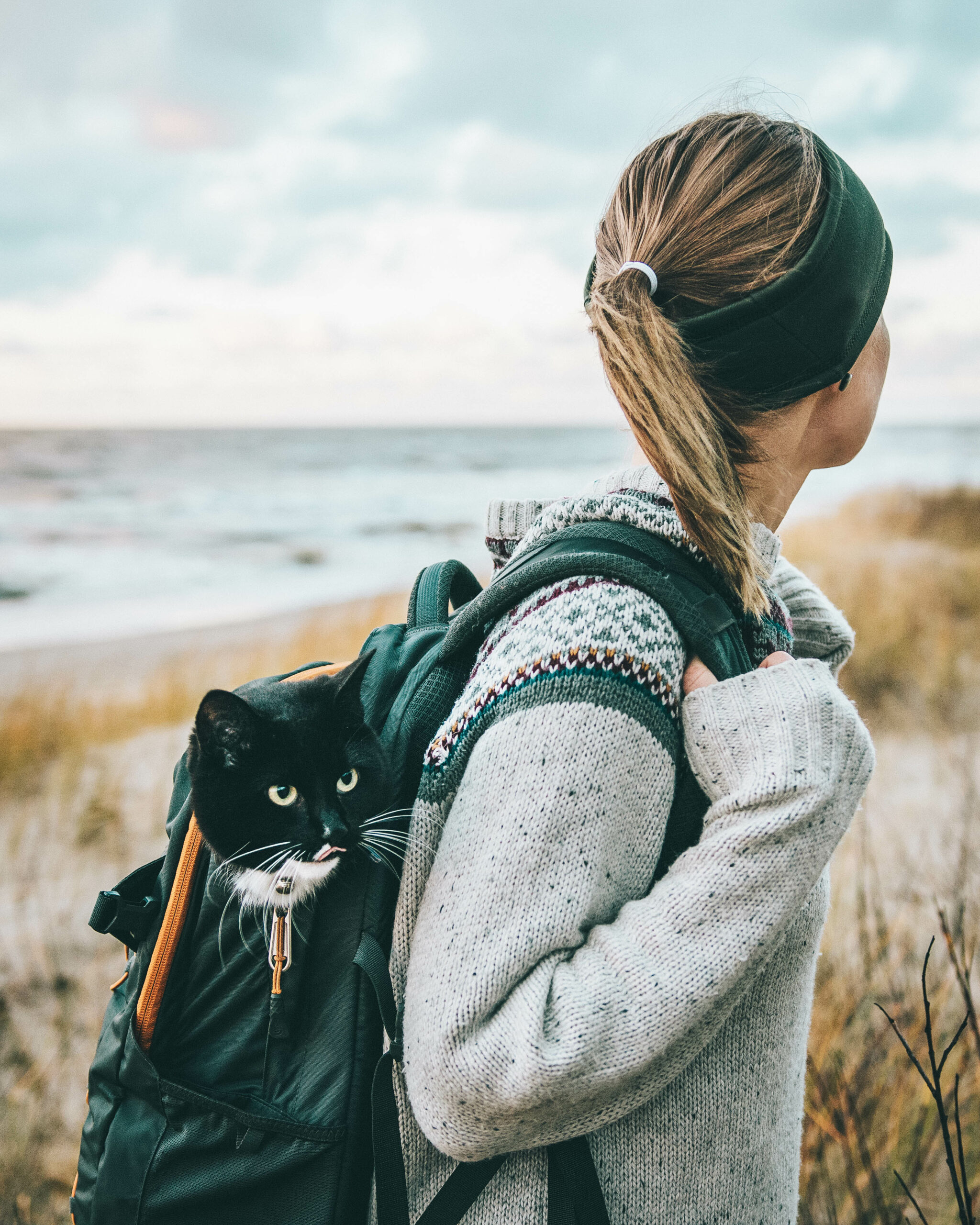 How To Travel with Your Pet