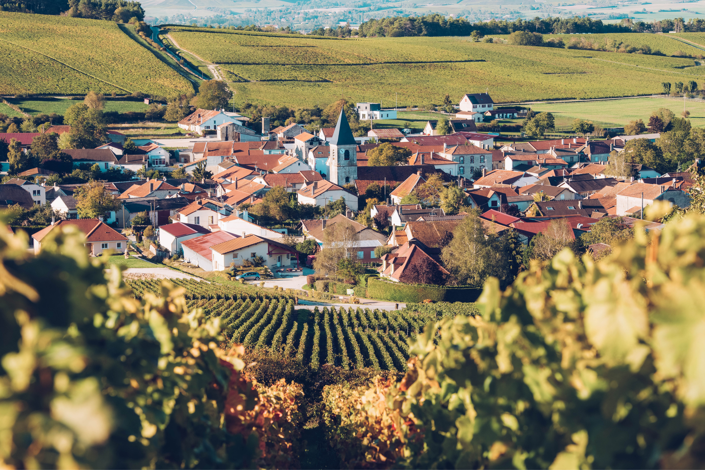 Urlaub in der Champagne in Frankreich