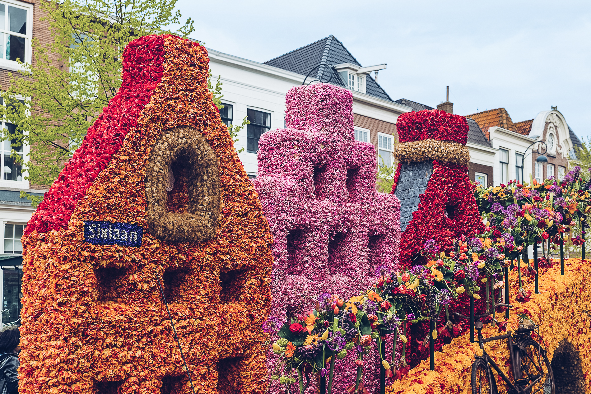 Un pays en fleurs : le festival des tulipes en Hollande