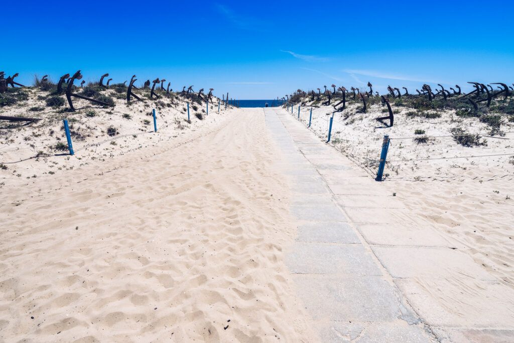 Las cinco mejores playas del Algarve en el sur de Portugal | Omio