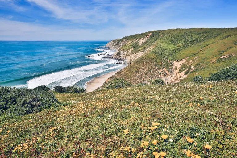 The Five Best National Parks in California